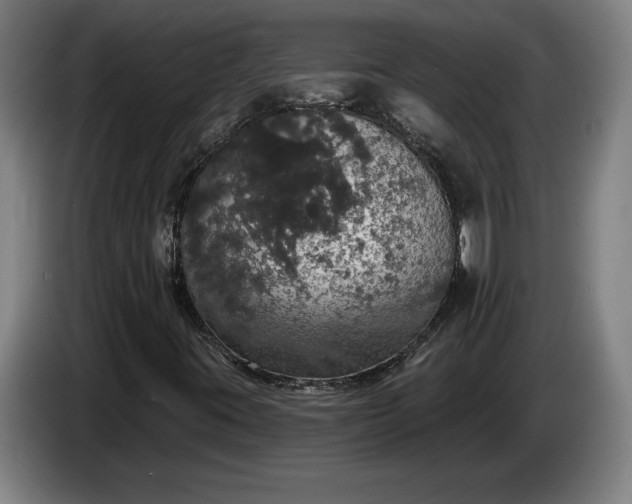 X0000087411395200705041238
