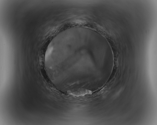 X0000087411397200705041238