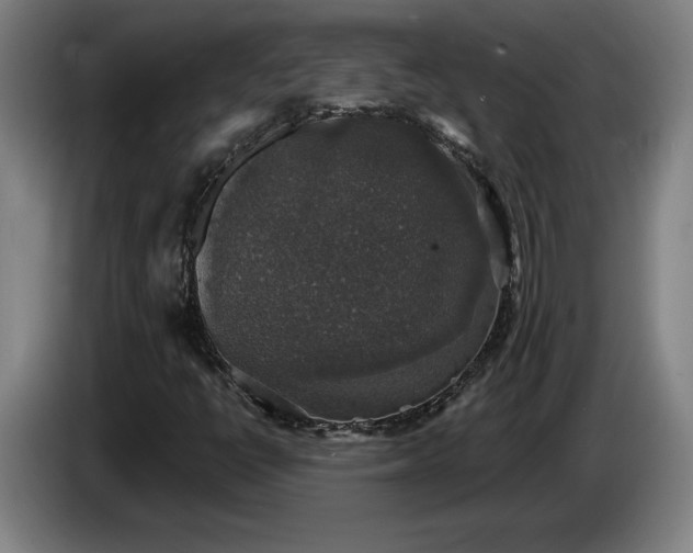 X0000087411398200705041238