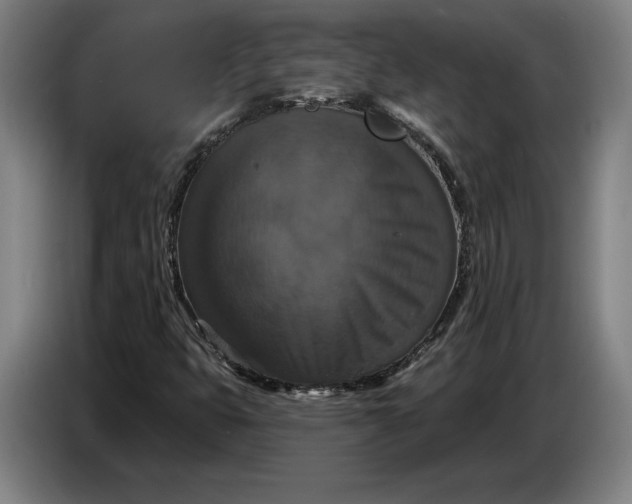 X0000087411399200705041238