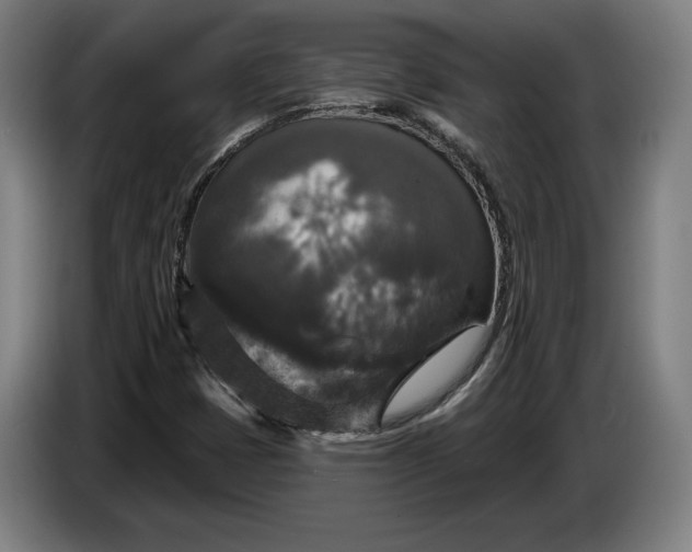 X0000087411401200705041238