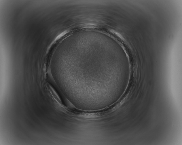 X0000087411402200705041239