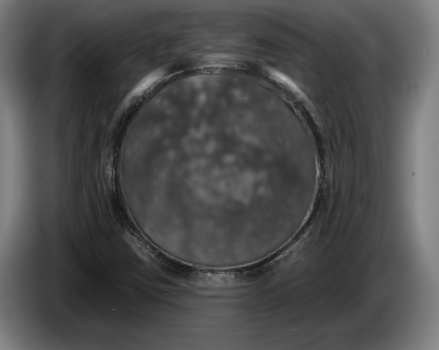 X0000087411403200705041239