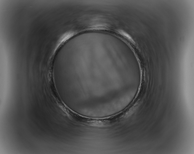 X0000087411405200705041239