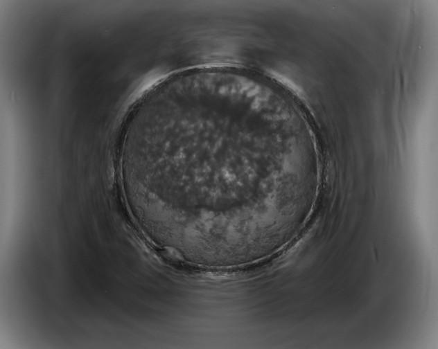X0000087411407200705041239