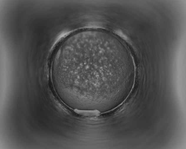 X0000087411408200705041239