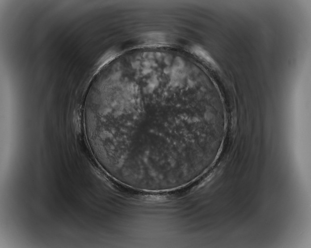 X0000087411409200705041239