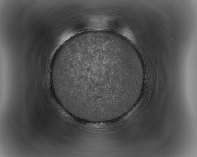 X0000087411410200705041239