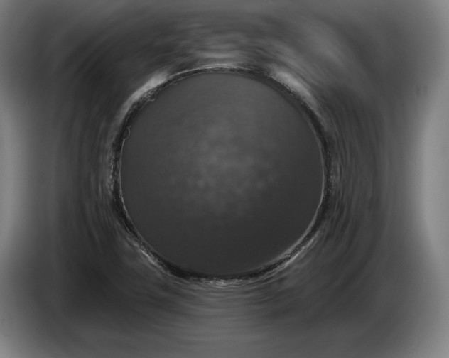 X0000087411411200705041239