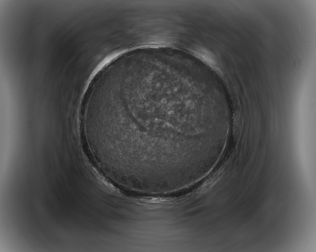 X0000087411412200705041239