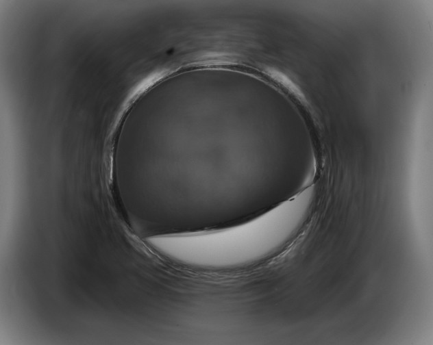 X0000087411413200705041239