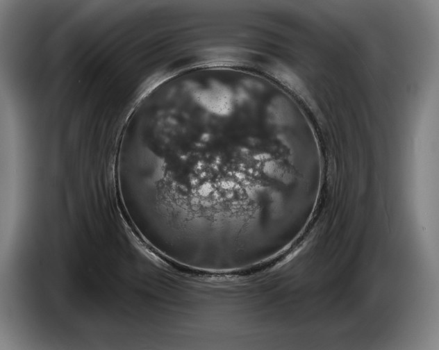 X0000087411417200705041239