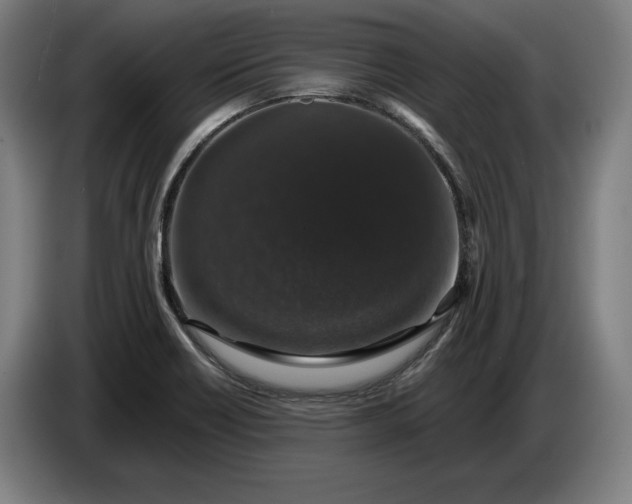 X0000087411418200705041239