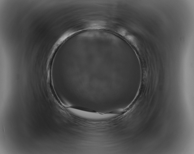 X0000087411419200705041239