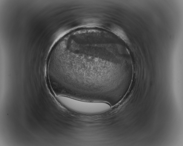 X0000087411420200705041239