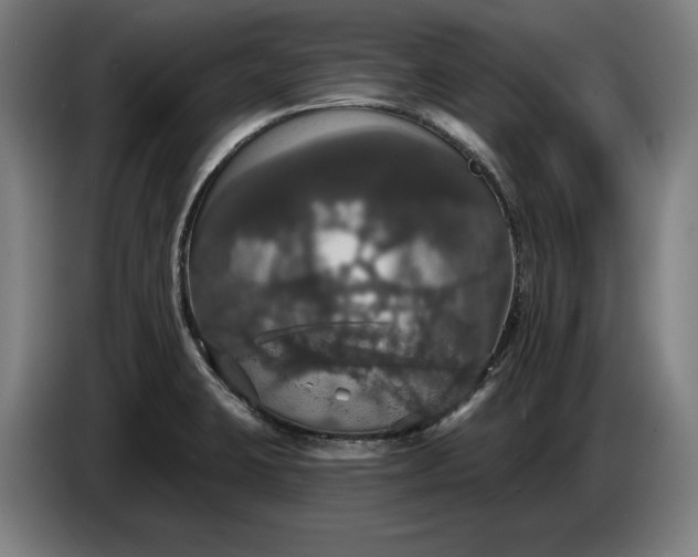 X0000087411423200705041239