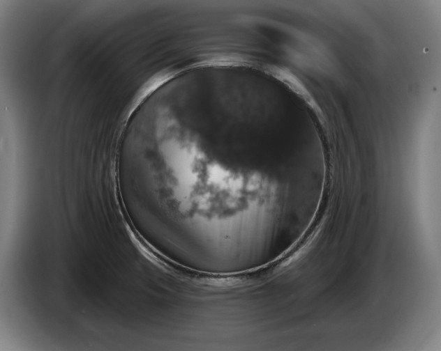 X0000087411425200705041239