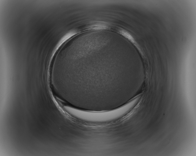 X0000087411426200705041239