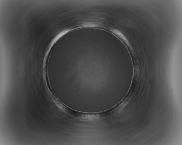 X0000087411427200705041239