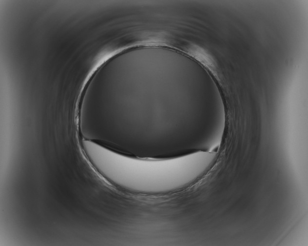 X0000087411428200705041239