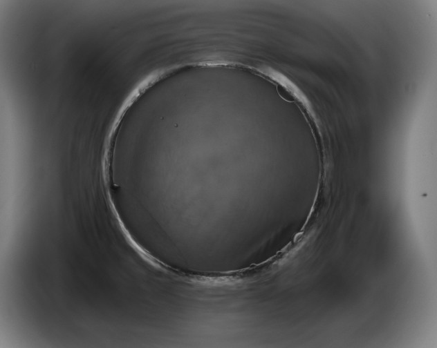 X0000087411429200705041239