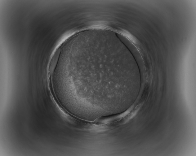 X0000087411430200705041239