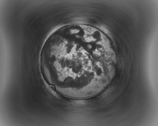X0000087411431200705041239