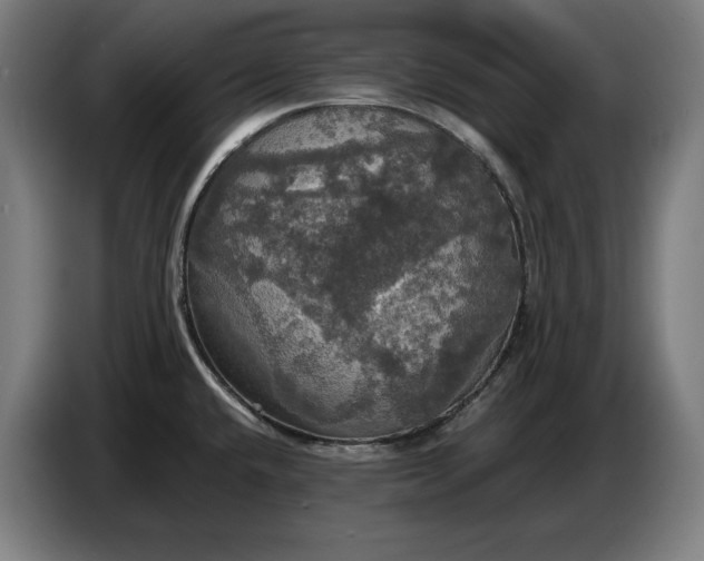 X0000087411432200705041239