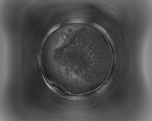 X0000087411433200705041239