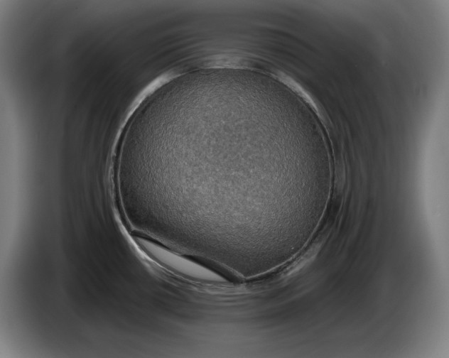 X0000087411434200705041239
