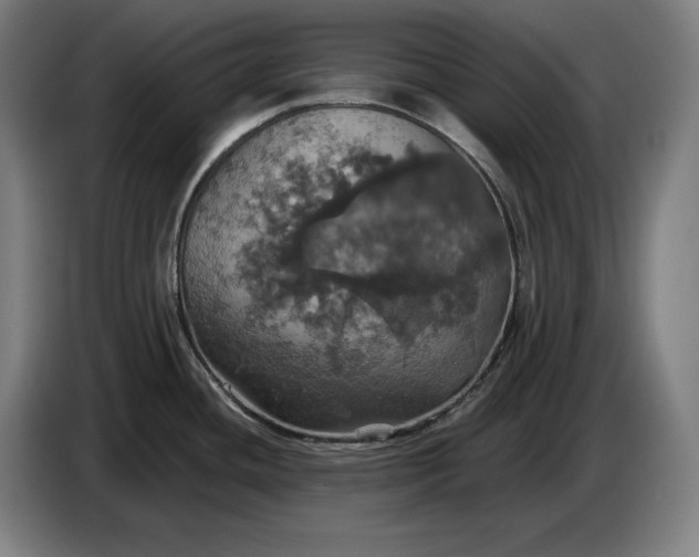 X0000087411436200705041239