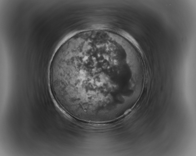 X0000087411439200705041239
