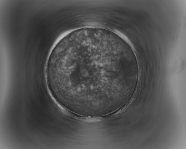 X0000087411440200705041239