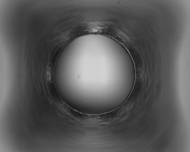 X0000087411442200705041238
