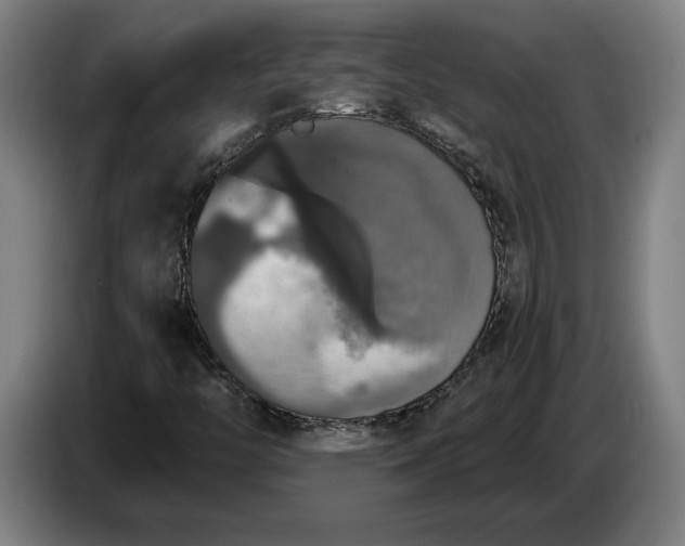 X0000087411446200705041238