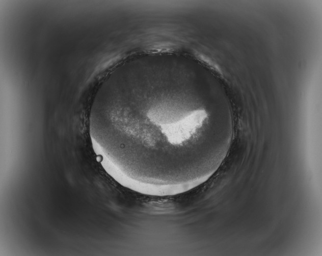 X0000087411447200705041238