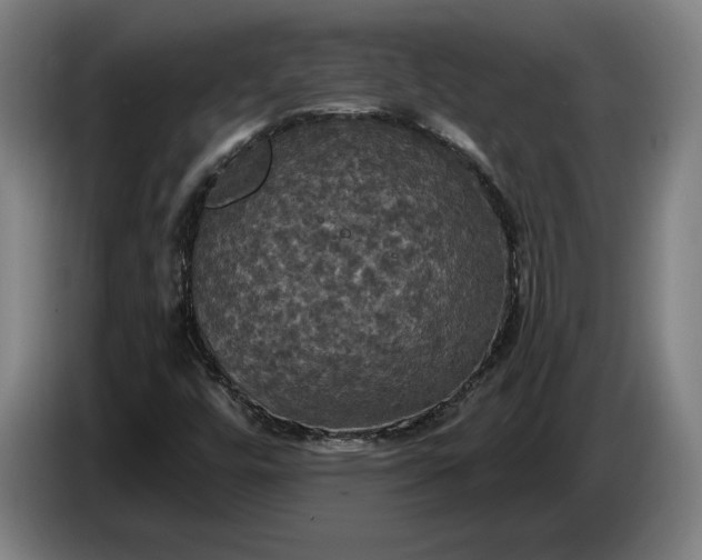 X0000087411448200705041238