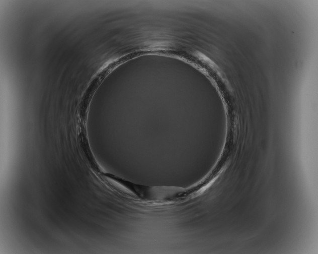 X0000087411449200705041238