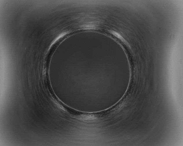 X0000087411450200705041238