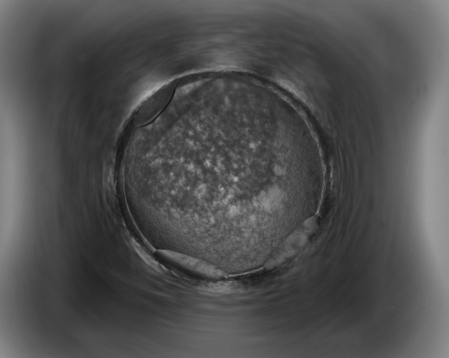 X0000087411452200705041238