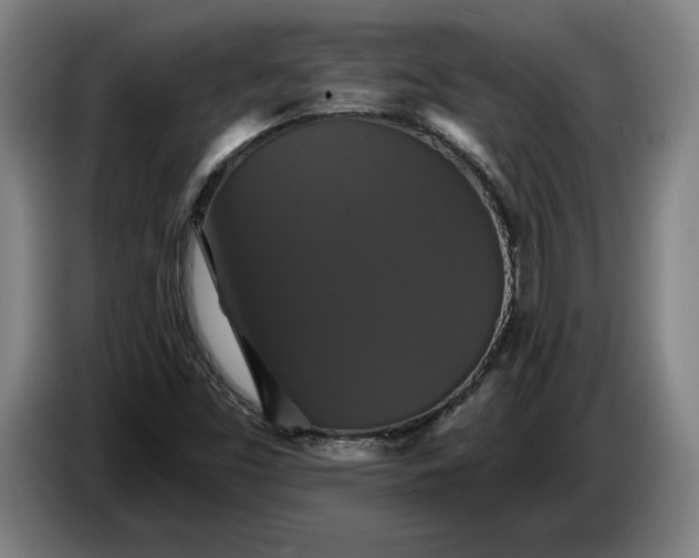 X0000087411453200705041238