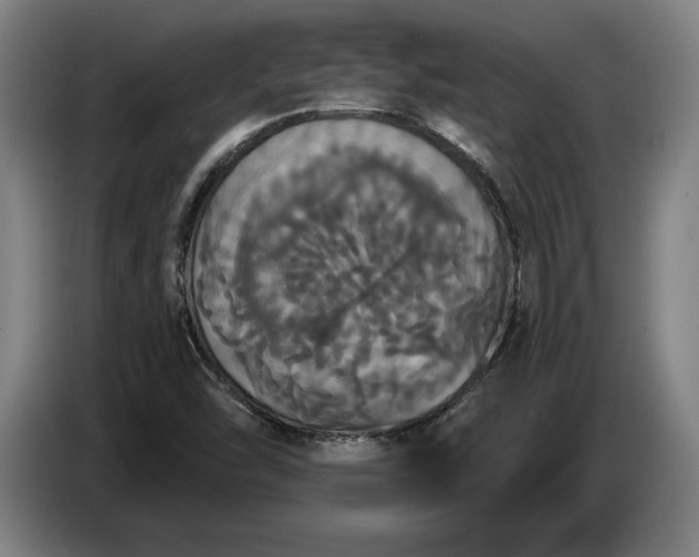 X0000087411454200705041238