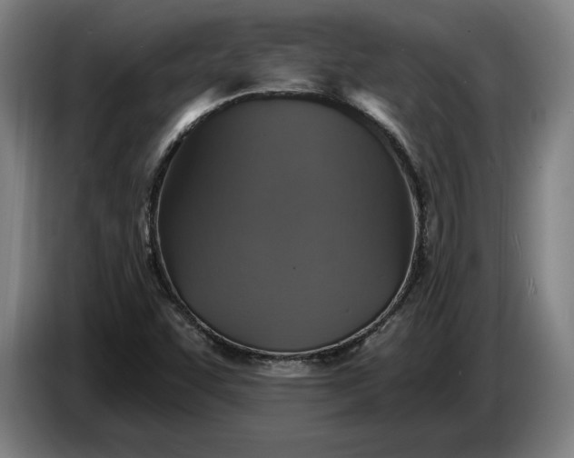 X0000087411455200705041238