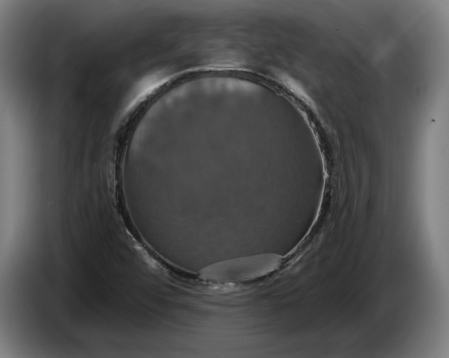 X0000087411456200705041238