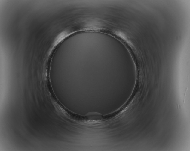 X0000087411459200705041238