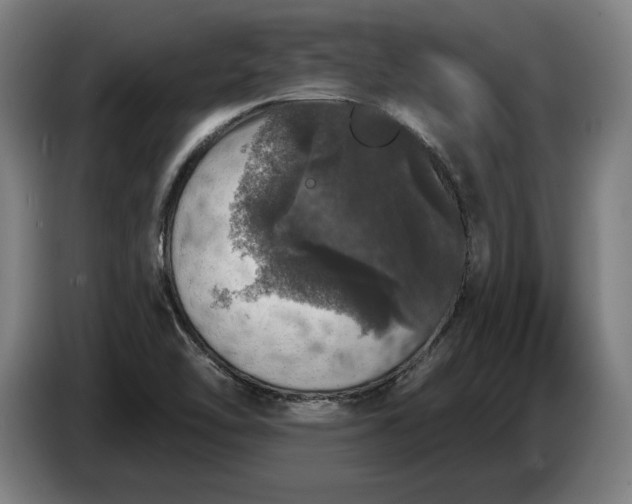 X0000087411462200705041238