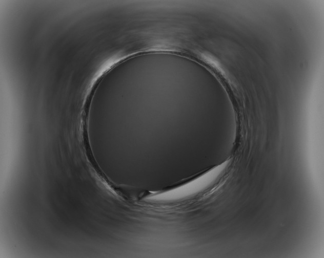 X0000087411463200705041238