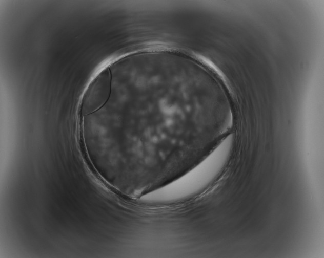 X0000087411467200705041238