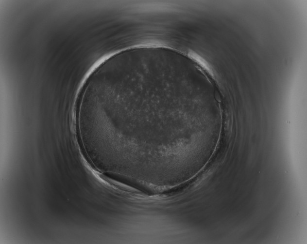 X0000087411468200705041238