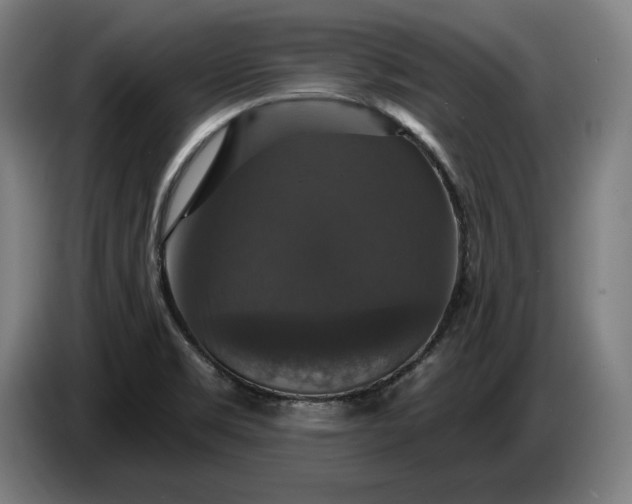 X0000087411469200705041238